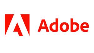 Custom Learning Solutions Learning Technology Strategic Consulting